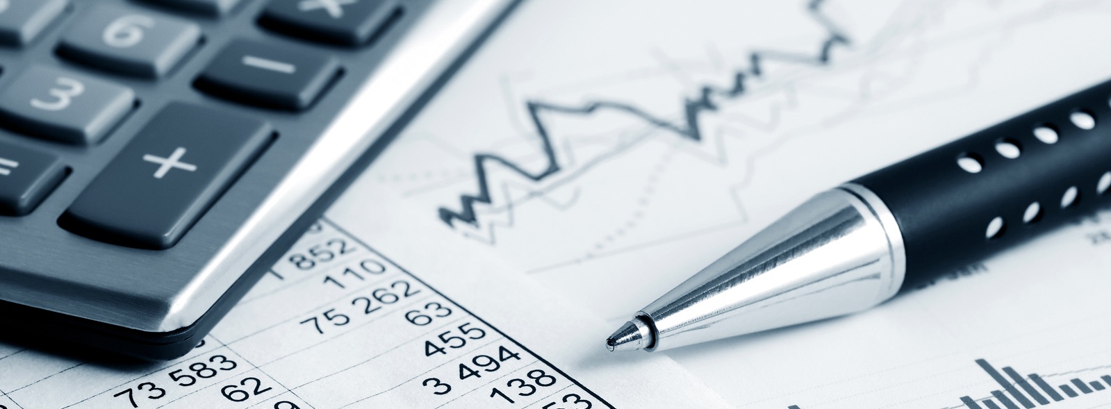 specialist Het gebruik van een financieel administratie systeem